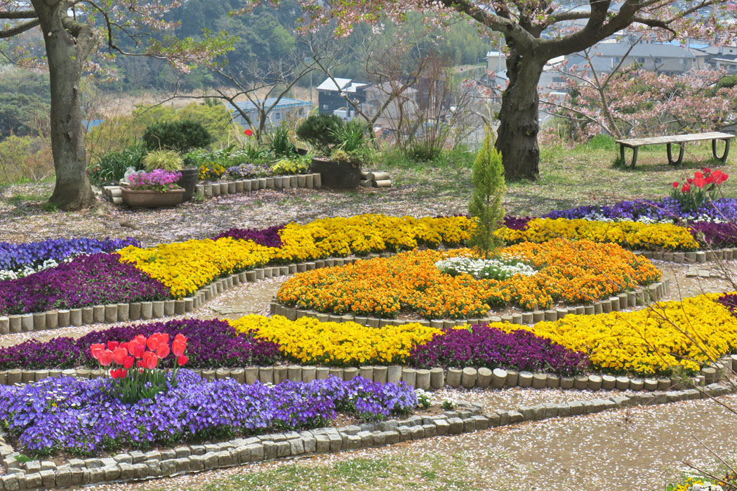 花壇も色鮮やか。こちらはパンジーでまとめている。