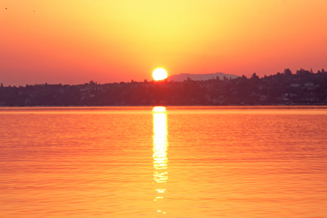 レマン湖に日が昇る。