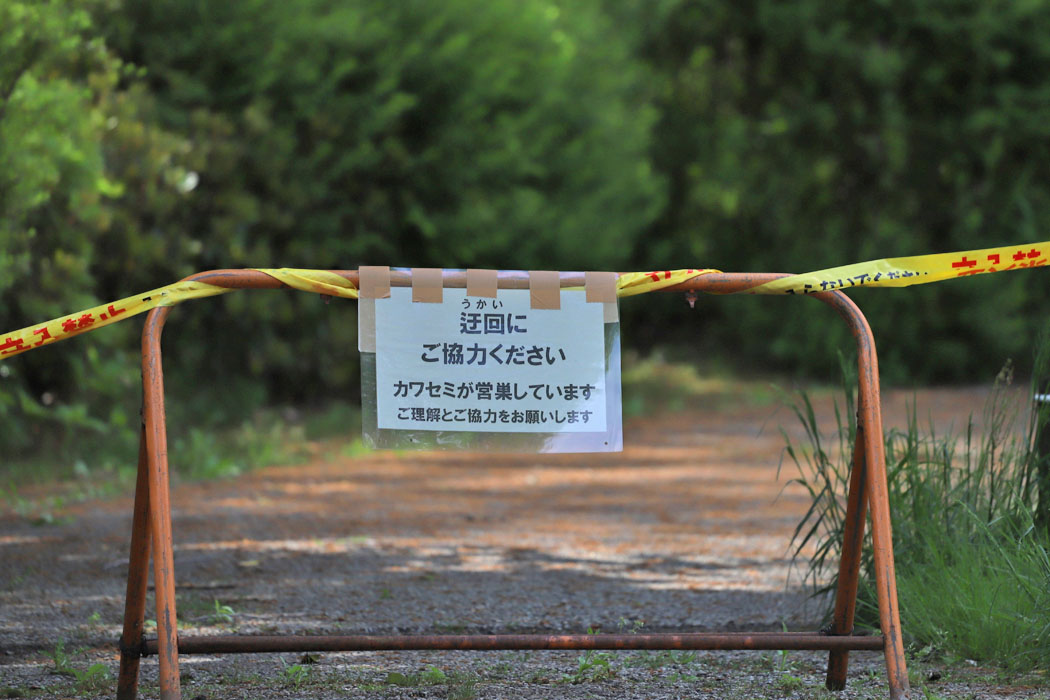 蓮田の脇の道はカワセミの営巣のために通行禁止。