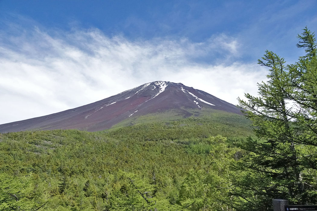 久々の富士山。山頂までくっきりと見える。