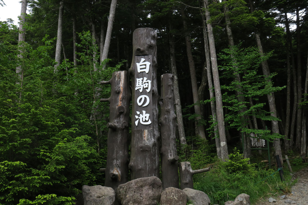 白駒の池入口