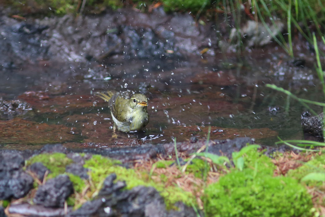 ふう～！