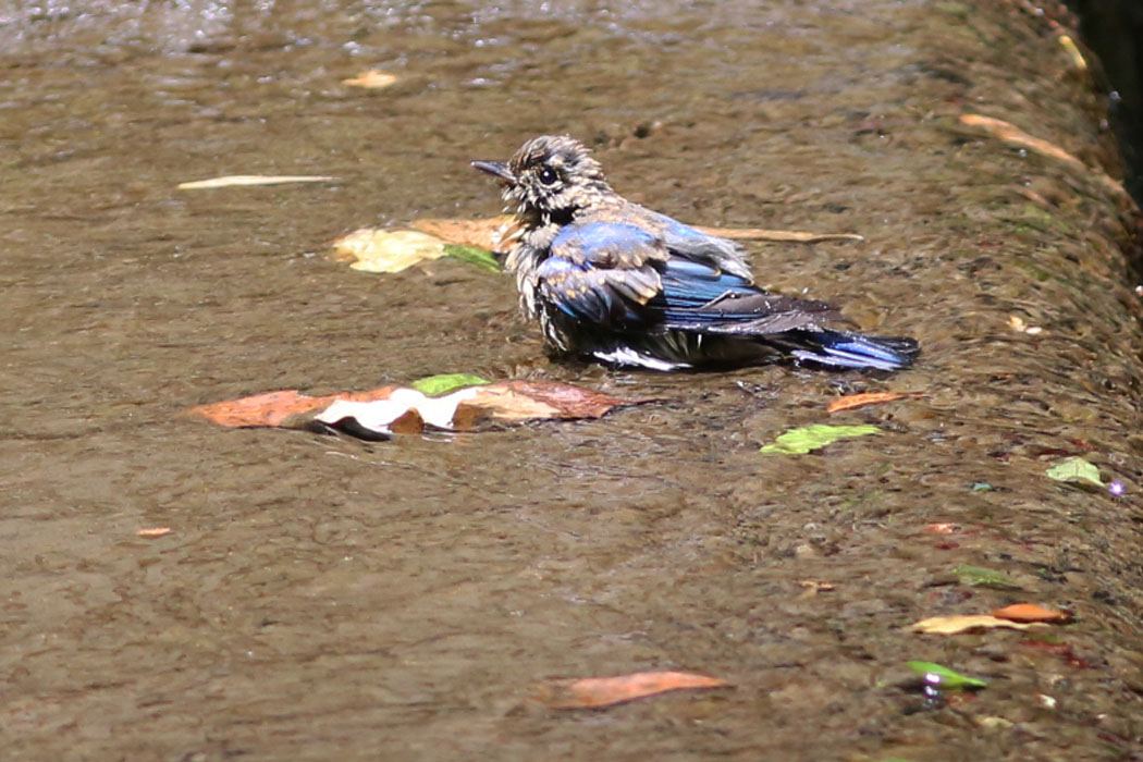 ああ、気持ち良かった