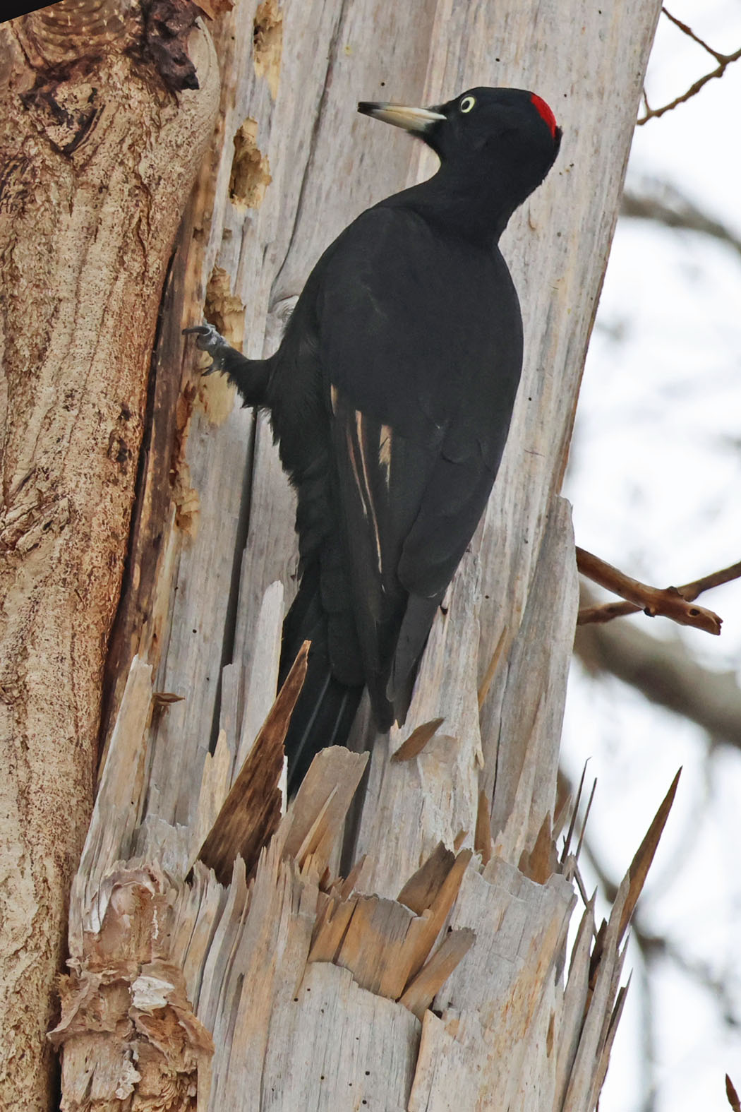 穴の中を見つめる。