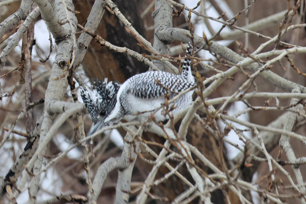 ほとんど動かなかった。