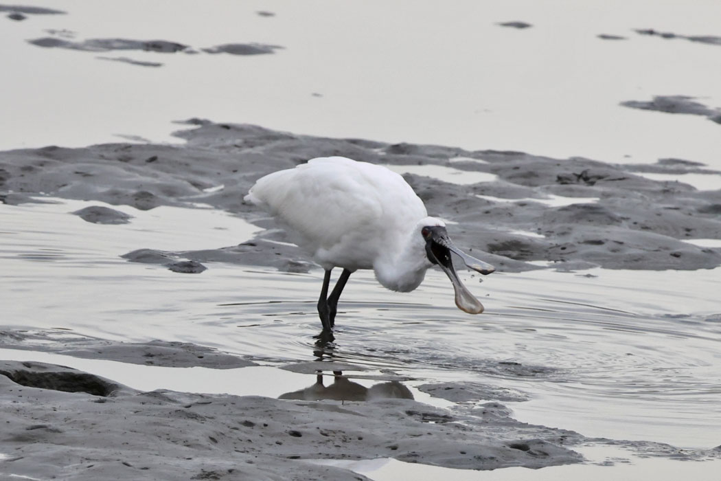 なんだかうれしそう。